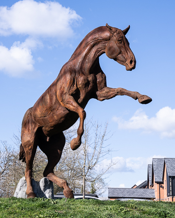 horses-4.jpg